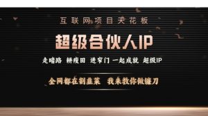互联网项目天花板，超级合伙人IP，全网都在割韭菜，我来教你做镰刀【仅揭秘】-网创星球