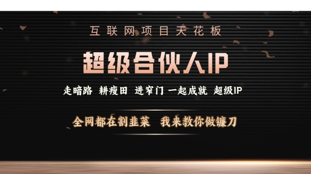 互联网项目天花板，超级合伙人IP，全网都在割韭菜，我来教你做镰刀【仅揭秘】-网创星球
