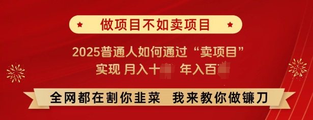 必看,做项目不如卖项目,2025普通人如何通过“卖项目”实现月入十个,年入百个-网创星球