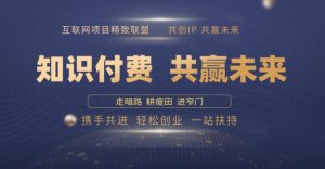 别人苦寻无果,为何他们靠知识付费卖项目 2025 年轻松年入100个?【揭秘】-网创星球