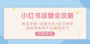 小红书运营全攻略，精准获客+流量优化+软文种草，揭秘高客单产品投放技巧-网创星球