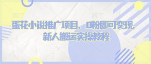 蛋花小说推文项目，0粉即可变现，新人搬运实操教程-网创星球