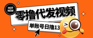 视频代发纯绿色项目,不用剪辑提供素材直接发布,0粉丝也能轻松日入50+-网创星球