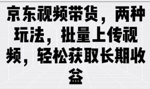 京东视频带货，两种玩法，批量上传视频，轻松获取长期收益-网创星球