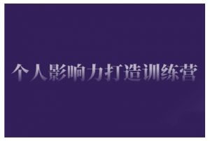 个人影响力打造训练营，掌握公域引流、私域运营、产品定位等核心技能，实现从0到1的个人IP蜕变-网创星球
