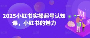 2025小红书实操起号认知课,小红书的魅力-网创星球
