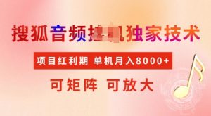 全网首发搜狐音频挂JI独家技术，项目红利期，可矩阵可放大，稳定月入8k【揭秘】-网创星球