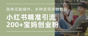 小红书混剪日引200+宝妈创业粉,简单无脑操作,多种变现详细教程-网创星球