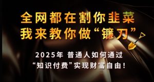 全网都在割你韭菜，我来教你做镰刀，2025年普通人如何通过 知识付费 实现财F自由【揭秘】-网创星球