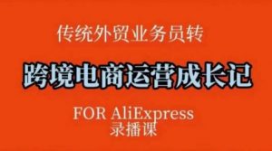 跨境电商速卖通运营课，​运营方法论+后台实操，逻辑清晰-网创星球