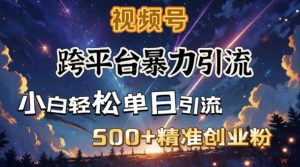 跨平台暴力引流,私域完美闭环,日引500+精准创业粉-网创星球