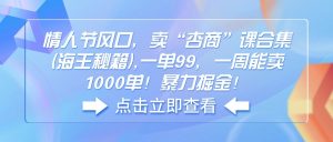 情人节风口，卖“杏商”课合集(海王秘籍-网创星球