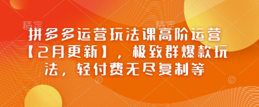 拼多多运营玩法课高阶运营【2月更新】,极致群爆款玩法,轻付费无尽复制等-网创星球