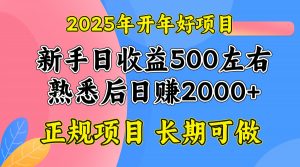 2025开年好项目,单号日收益2000左右-网创星球