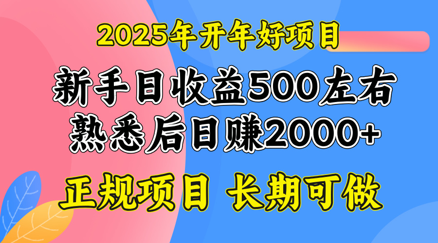 2025开年好项目,单号日收益2000左右-网创星球