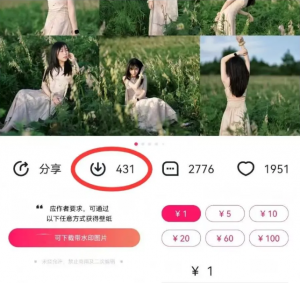 最新图虫搬运项目,收益无上限,利用AI小白也可日赚500+-网创星球