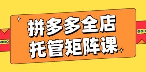 拼多多全店托管矩阵课,盈利动销玩法,高效计划设置,提升店铺效益-网创星球