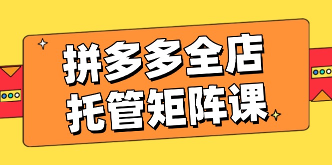 拼多多全店托管矩阵课,盈利动销玩法,高效计划设置,提升店铺效益-网创星球
