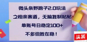 微头条野路子2.0玩法之相亲赛道,无脑搬砖复制粘贴,单账号日稳定300+...-网创星球
