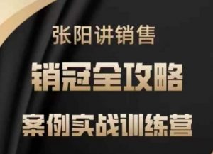 张阳讲销售实战训练营,案例实战训练,销冠全攻略-网创星球