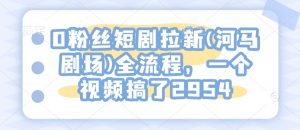 0粉丝短剧拉新(河马剧场)全流程,一个视频搞了2954-网创星球