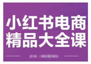 小红书电商精品大全课,快速掌握小红书运营技巧,实现精准引流与爆单目标,轻松玩转小红书电商(更新2月)-网创星球