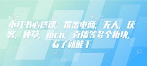 小红书必修课，覆盖电商，无人，获客，种草，mcn，直播等多个板块，看了就能干-网创星球