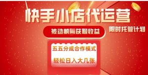 快手小店代运营,被动躺Z收益,收益五五分,单日稳定变现五张【揭秘】-网创星球