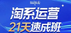 淘系运营21天速成班(更新25年2月),0基础轻松搞定淘系运营,不做假把式-网创星球