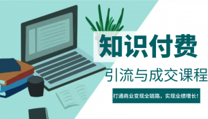 IP合伙人知识付费虚拟项目,引流与成交课程,打通商业变现全链路,实现业绩增长!-网创星球