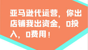 亚马逊代运营，你出店铺我出资金，0投入，0费用，无责任每天300分红，赢亏我承担-网创星球