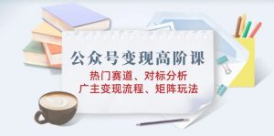 公众号变现高阶课：热门赛道、对标分析、广告主变现流程、矩阵玩法-网创星球