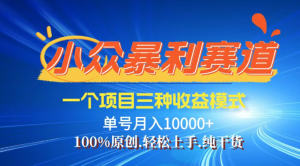【灵狐计划】视频号最新爆火赛道，三种收益模式，0粉新号条条热门原创...-网创星球