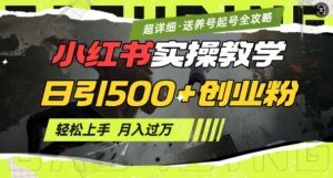2月小红书最新日引500+创业粉实操教学【超详细】小白轻松上手,月入1W+,附小红书养号起号SOP-网创星球