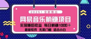 2025最新网易云躺赚项目 每天几分钟 轻松3万+-网创星球