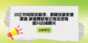 小红书电商流量课:揭秘流量来源渠道,掌握爆款笔记推流逻辑,提升店铺曝光-网创星球