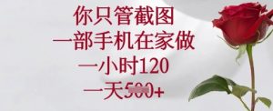 你只管截图,一部手机在家做,一小时120.一天5张【揭秘】-网创星球