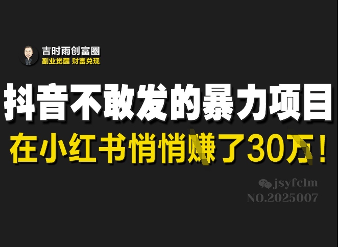 抖音不敢发的暴利项目,在小红书悄悄挣了30W-网创星球