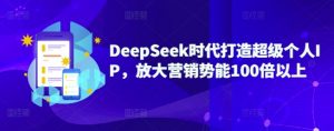 DeepSeek时代打造超级个人IP,放大营销势能100倍以上-网创星球