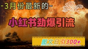 小红书超劲爆引流手段,图文日引300+轻松变现1W-网创星球
