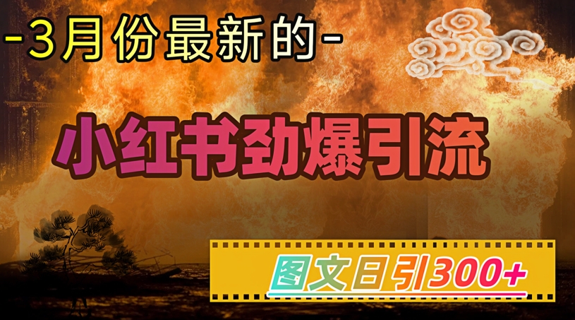 小红书超劲爆引流手段,图文日引300+轻松变现1W-网创星球