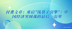 付费文章:重启-网创星球