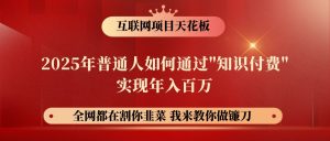 网创项目终点站-镰刀训练营超级IP合伙人,25年普通人如何通过“知识付费”年入百万-网创星球