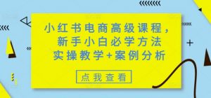 小红书电商高级课程,新手小白必学方法,实操教学+案例分析-网创星球