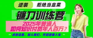 镰刀训练营超级IP合伙人，25年普通人如何通过“知识付费”实现逆袭-网创星球