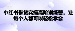 小红书带货实操高阶训练营,让每个人都可以轻松学会-网创星球