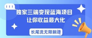 独家三端变现蓝海项目,让你收益最大化,长尾流无限躺挣-网创星球