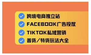 跨境电商独立站及全域流量营销,从0基础快速入门并精通跨境电商运营-网创星球