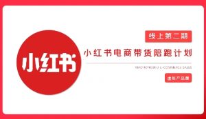2025小红书虚拟电商实战课，从0到1打造无货源店铺，AI+爆款笔记轻松变现-网创星球