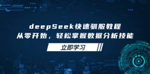 deepSeek快速驯服教程，从零开始，轻松掌握数据分析技能-网创星球